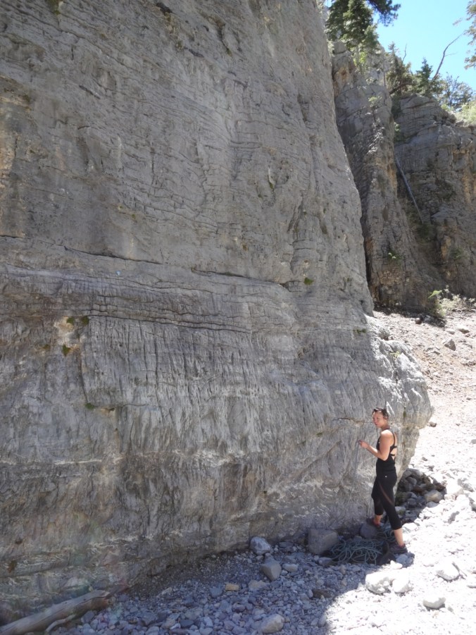 Limestone rocks
