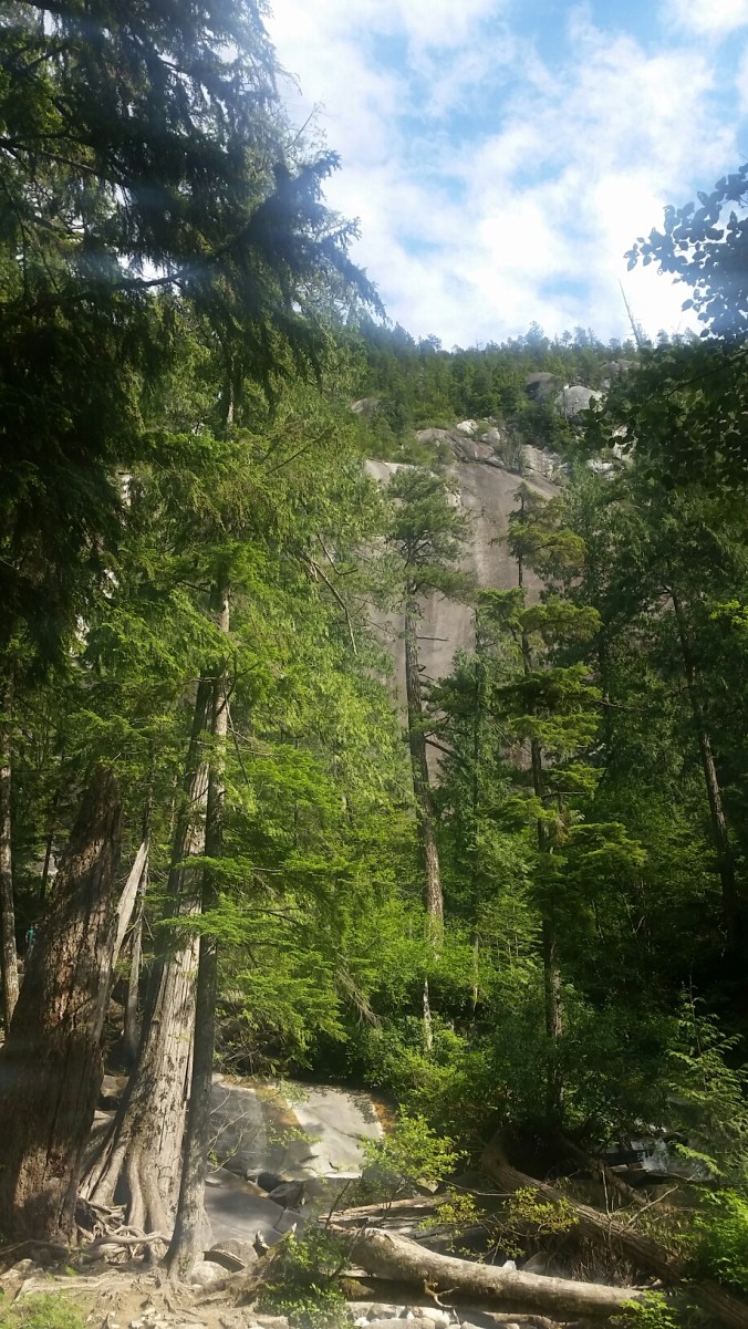 20150619_193322.jpg image