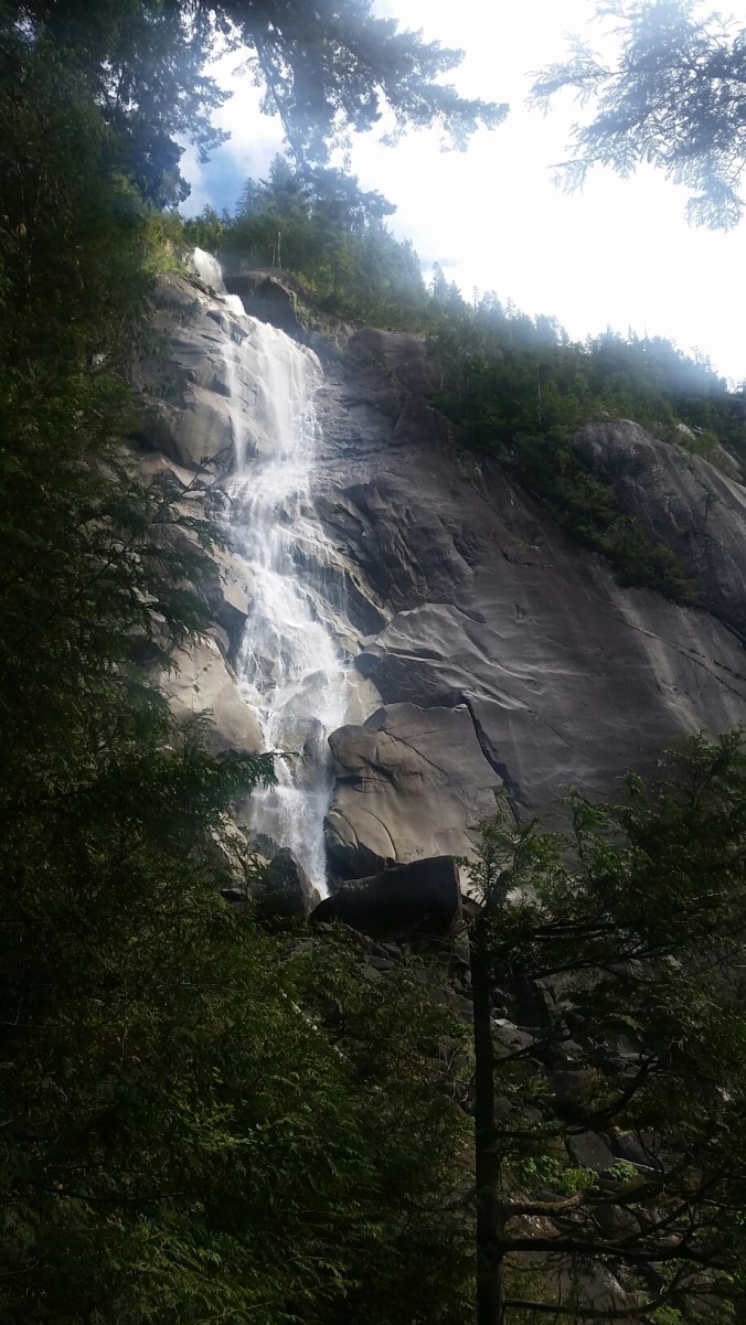 20150619_193733.jpg image